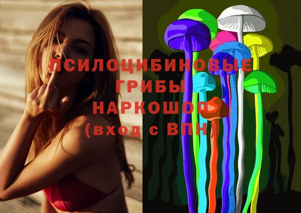 скорость Алзамай