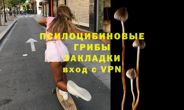 дмт Алексеевка