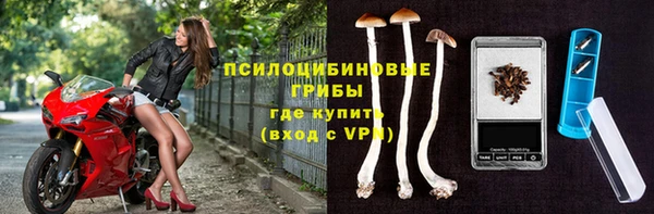 стаф Алексин