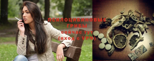 стаф Алексин